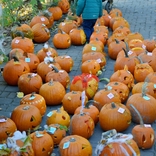 Letošní Halloween v Zoo Brno přilákal 2800 návštěvníků